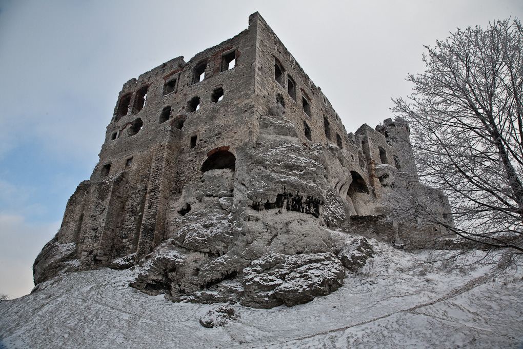 Ogrodzieniec